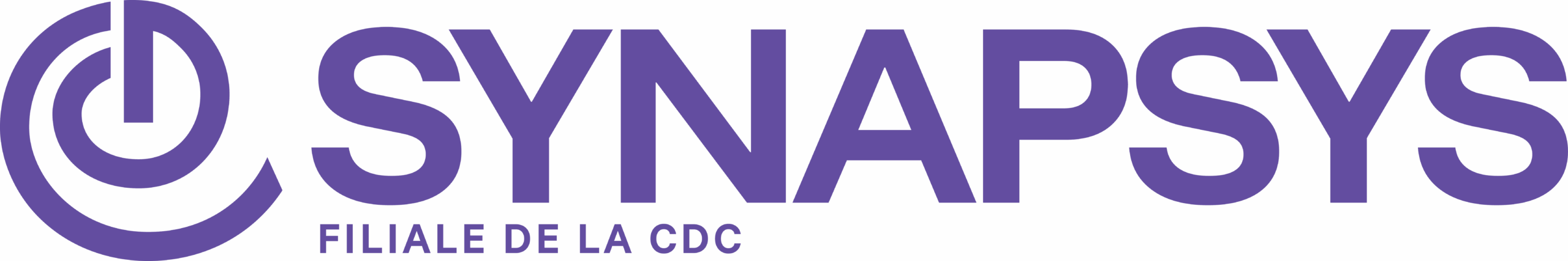 Synapsys Conseil logo